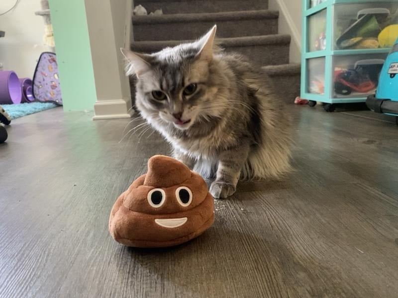 üéÅLowest price everüí•Funny Poop Plush Toy ‚Äì Makes Fart Sounds!