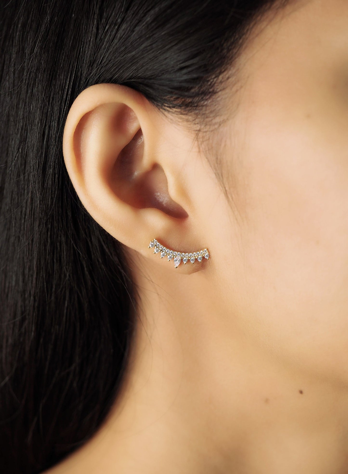 Pave CZ Climbers