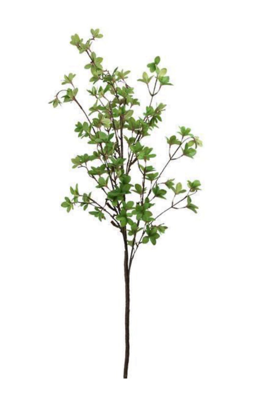 51” watercress leaf spray