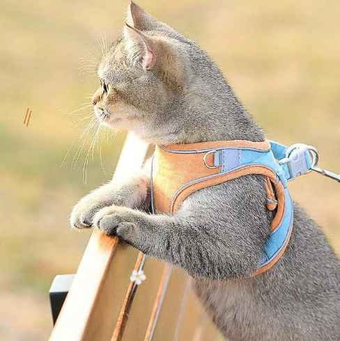 üêï One Piece Pet Vest Leash ‚Äì Adjustable & breathable mesh