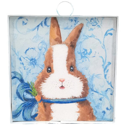 Baby dutch bunny mini gallery
