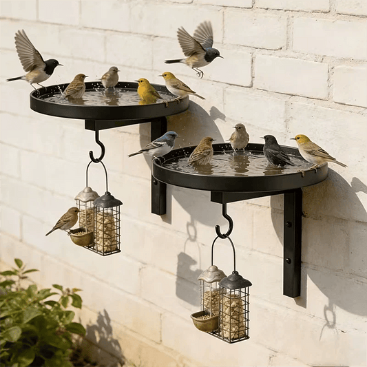 üì¢üì¢40% OFF !!!‚è∞Wall-Mounted Metal Bird Bath ‚Äì Antique Bronze Finish üê¶üõÅüß±üè°