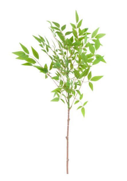 35.5” Nandina spray