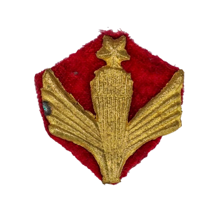 Afghan Army 3rd Class Parachutist Wings Badge - Army & Outdoors -