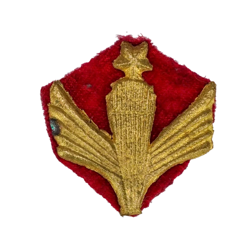 Afghan Army 3rd Class Parachutist Wings Badge - Army & Outdoors -