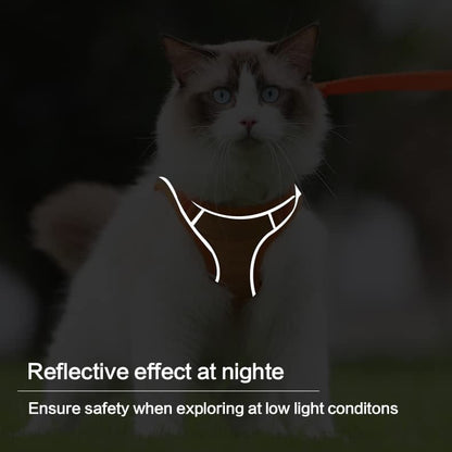 üî•Cat Harness & Leashüò∫‚ú®