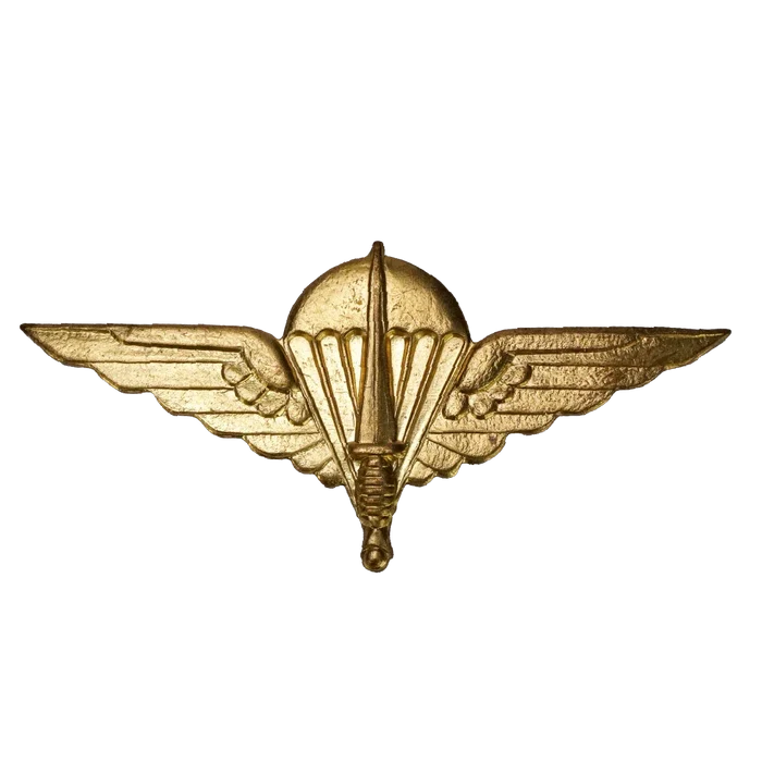 Belgian Para-Commando Brigade Badge - Belgian Army Surplus - Flags, Badges & Insignia