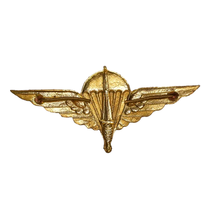 Belgian Para-Commando Brigade Badge - Belgian Army Surplus - Flags, Badges & Insignia