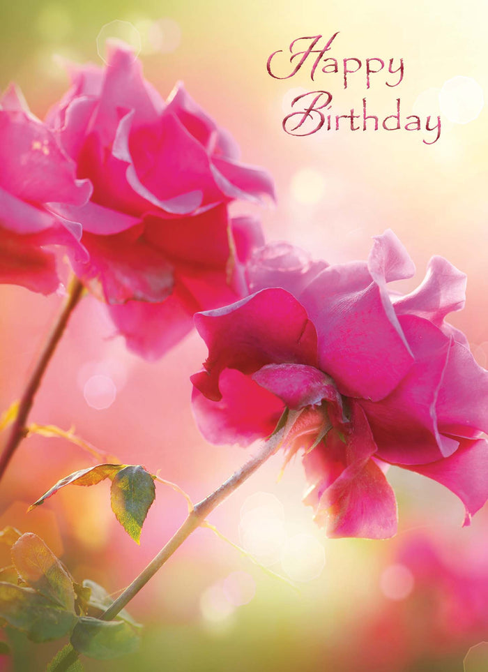 Christian Birthday Cards by Shared Blessings-Birthday Blossoms, 12 Cards and Envelopes