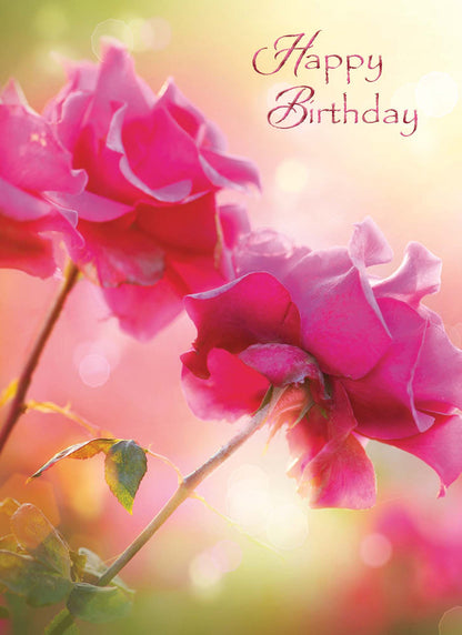 Christian Birthday Cards by Shared Blessings-Birthday Blossoms, 12 Cards and Envelopes