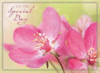 Christian Birthday Cards by Shared Blessings-Birthday Blossoms, 12 Cards and Envelopes