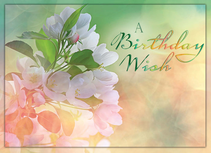 Christian Birthday Cards by Shared Blessings-Birthday Blossoms, 12 Cards and Envelopes