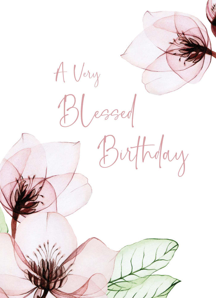 Christian Birthday Cards by Shared Blessings-Transparent Floral, Box of 12 Assorted Birthday Cards