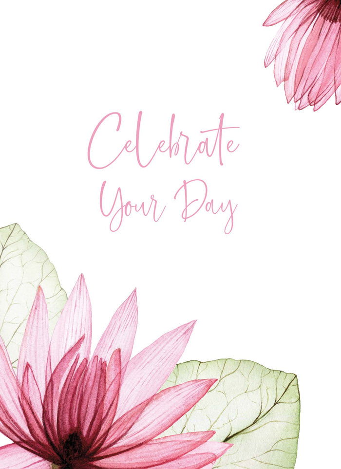 Christian Birthday Cards by Shared Blessings-Transparent Floral, Box of 12 Assorted Birthday Cards