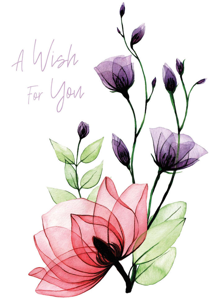 Christian Birthday Cards by Shared Blessings-Transparent Floral, Box of 12 Assorted Birthday Cards