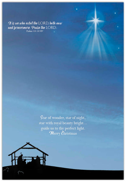 Example of a Christmas Card Assortment - Gifts of Christmas