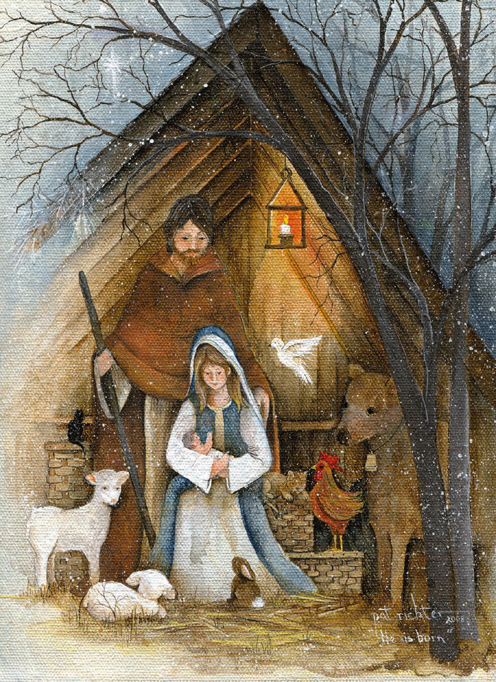 Christian Christmas Cards by Shared Blessings - Holy Night, 12 Assorted Christmas Cards