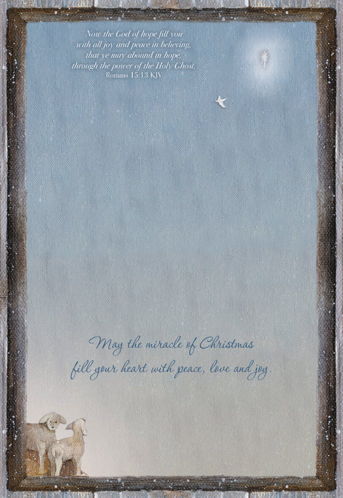 Christian Christmas Cards by Shared Blessings - Holy Night, 12 Assorted Christmas Cards