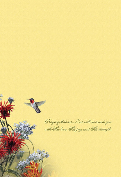Christian Encouragement Cards by Shared Blessings - Hummingbirds - 12 Assorted Encouragement Cards
