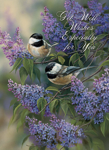 Christian Get Well Cards by Shared Blessings -Thoughts and Prayers - 12 Assorted Get Well Cards