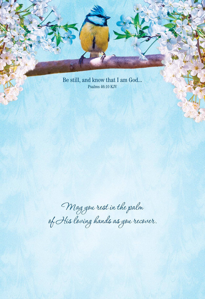 Christian Get Well Cards by Shared Blessings -Thoughts and Prayers - 12 Assorted Get Well Cards
