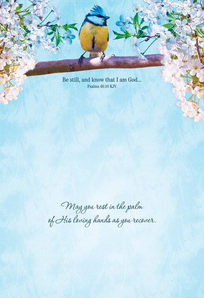 Christian Get Well Cards by Shared Blessings -Thoughts and Prayers - 12 Assorted Get Well Cards