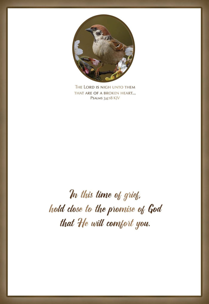 Christian Sympathy Cards by Shared Blessings, Feathers of Faith - 12 Cards