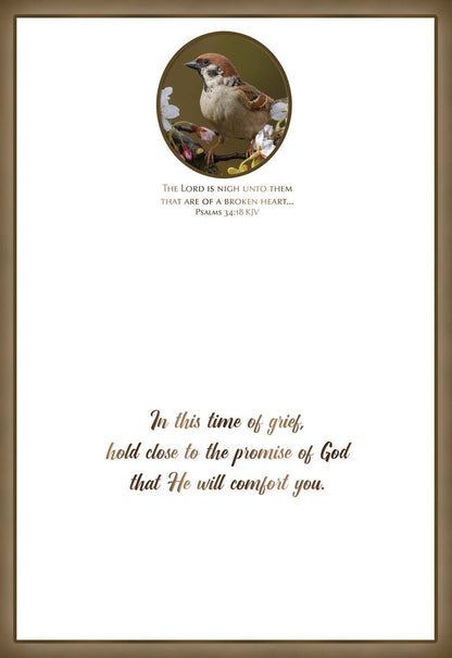 Christian Sympathy Cards by Shared Blessings, Feathers of Faith - 12 Cards
