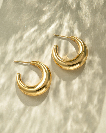 Rory Gradient Hoops