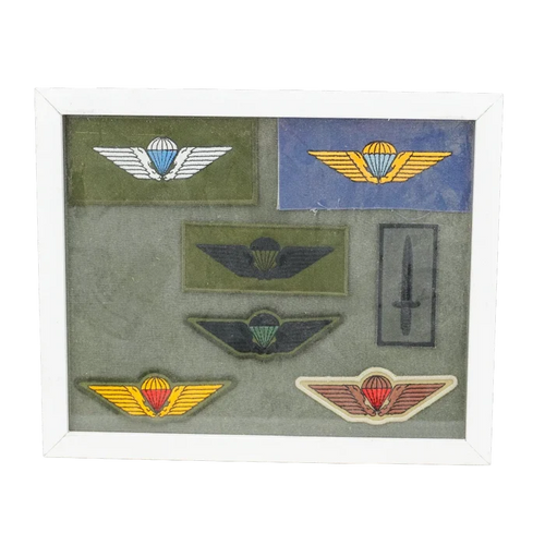Danish Army Parachute Qualification Wings Display Board, Item 2 - Danish Surplus - Flags, Badges & Insignia