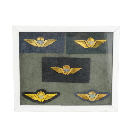 Danish Army Parachute Qualification Wings Display Board - Danish Surplus - Flags, Badges & Insignia