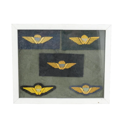 Danish Army Parachute Qualification Wings Display Board - Danish Surplus - Flags, Badges & Insignia