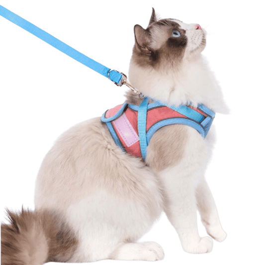 üî•Cat Harness & Leashüò∫‚ú®