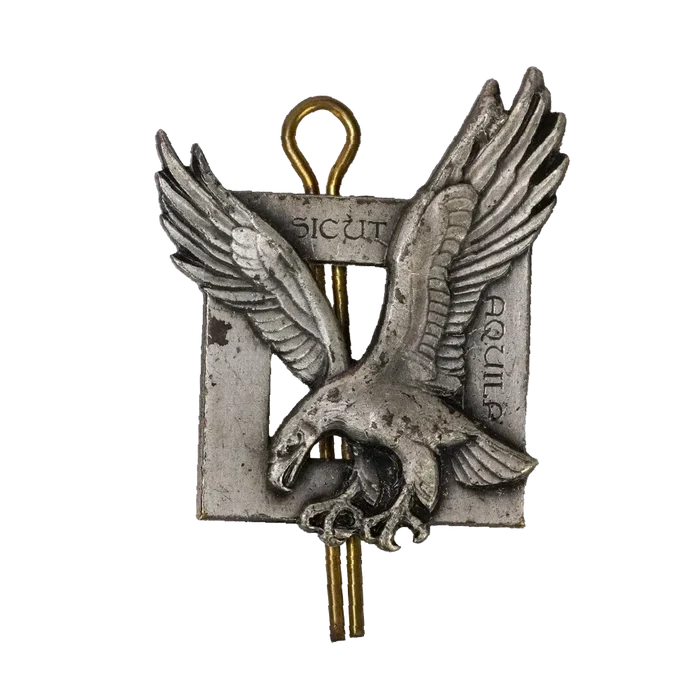 French 1960s Air Commando Fusiliers Badge - French Army Surplus - Flags, Badges & Insignia