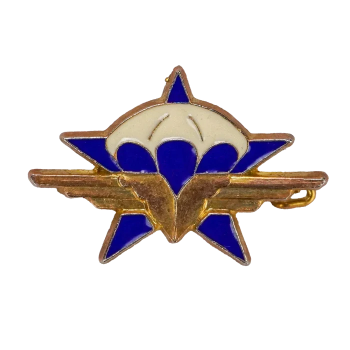 French 1st Parachute Chasseur Regiment Badge - French Army Surplus - Flags, Badges & Insignia