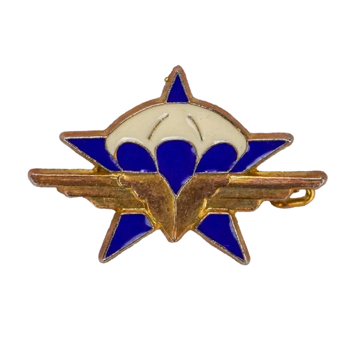 French 1st Parachute Chasseur Regiment Badge - French Army Surplus - Flags, Badges & Insignia