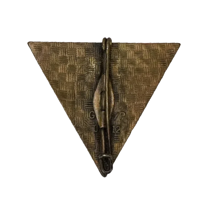 French 2nd Foreign Parachute Regiment Training Section Badge - French Army Surplus - Flags, Badges & Insignia