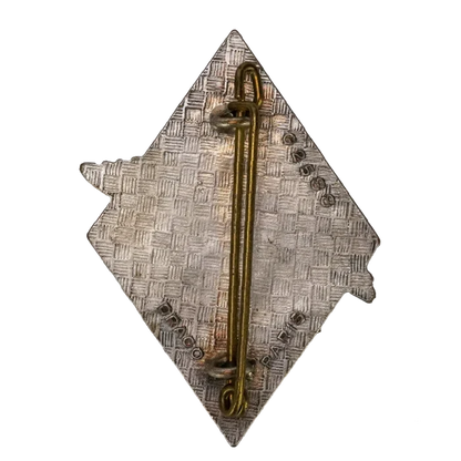 French Army 5th Light Aviation Support Group Badge - French Army Surplus - Flags, Badges & Insignia
