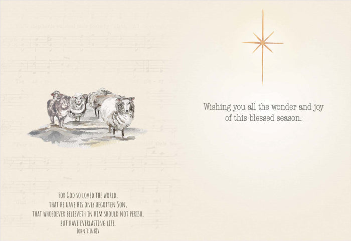 Holy Night Wonders | Religious Christmas Cards by Shared Blessings - 12 Assorted Cards with KJV Scripture