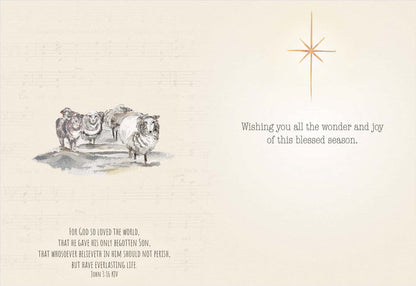 Holy Night Wonders | Religious Christmas Cards by Shared Blessings - 12 Assorted Cards with KJV Scripture