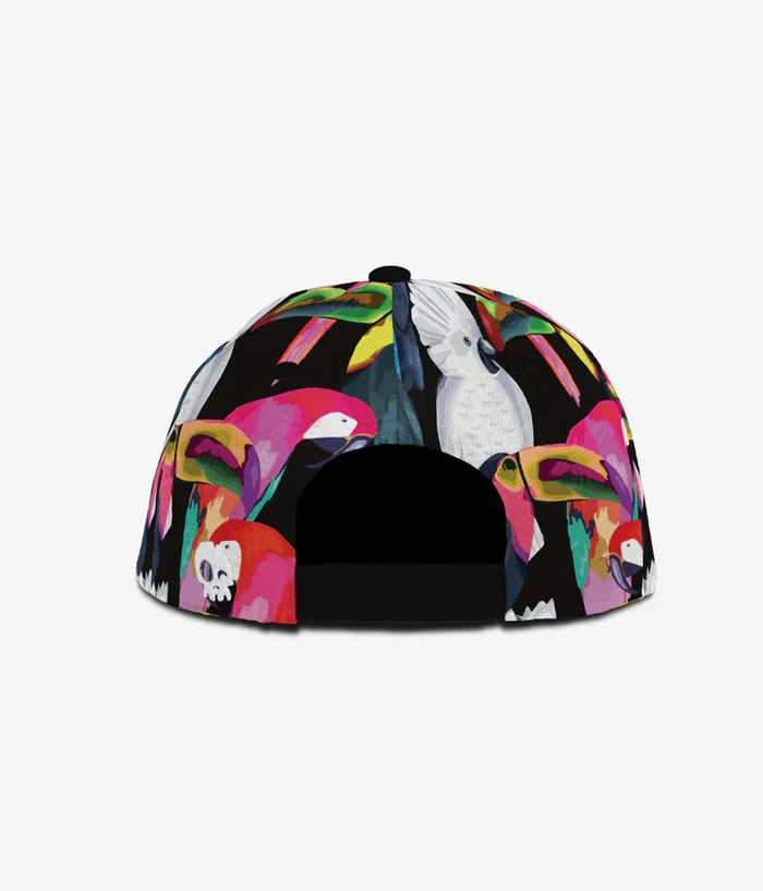 OASIS BIRDS SNAPBACK