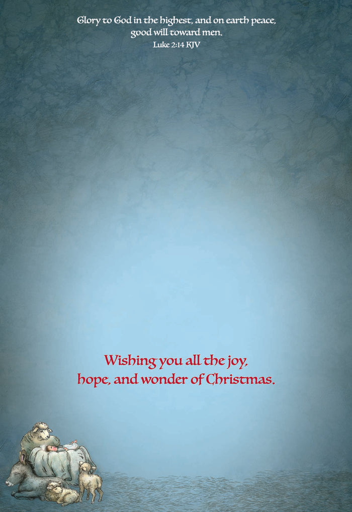 All Is Calm, Box of 12 Assorted Christmas Cards