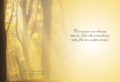 Religious Sympathy Cards | Light of the World- Box of 12 Assorted Sympathy Cards by Shared Blessings