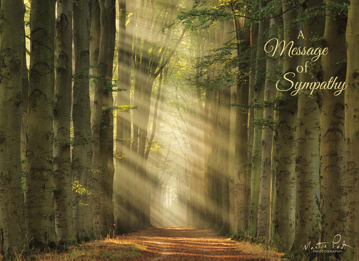 Religious Sympathy Cards | Light of the World- Box of 12 Assorted Sympathy Cards by Shared Blessings