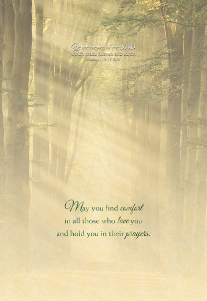 Religious Sympathy Cards | Light of the World- Box of 12 Assorted Sympathy Cards by Shared Blessings