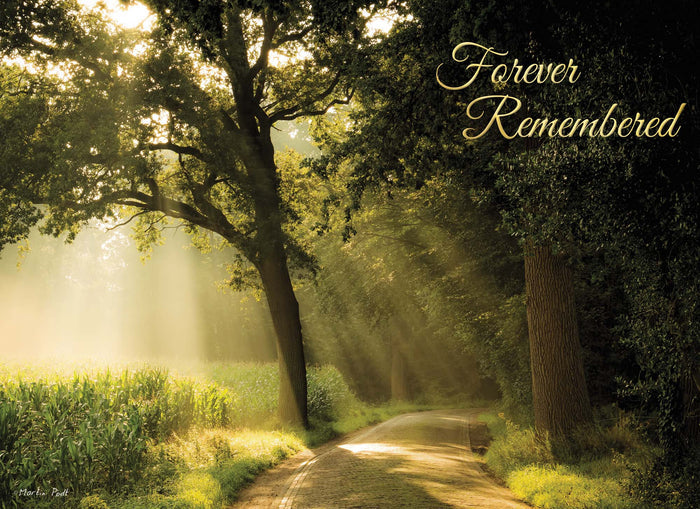 Religious Sympathy Cards | Light of the World- Box of 12 Assorted Sympathy Cards by Shared Blessings