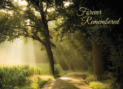 Religious Sympathy Cards | Light of the World- Box of 12 Assorted Sympathy Cards by Shared Blessings