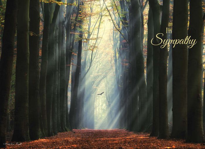 Religious Sympathy Cards | Light of the World- Box of 12 Assorted Sympathy Cards by Shared Blessings