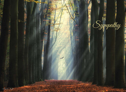 Religious Sympathy Cards | Light of the World- Box of 12 Assorted Sympathy Cards by Shared Blessings