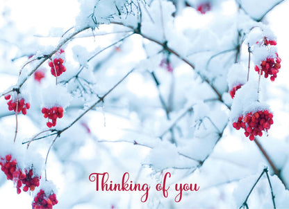 Religious Sympathy Cards with KJV Scripture | Heavenly Peace